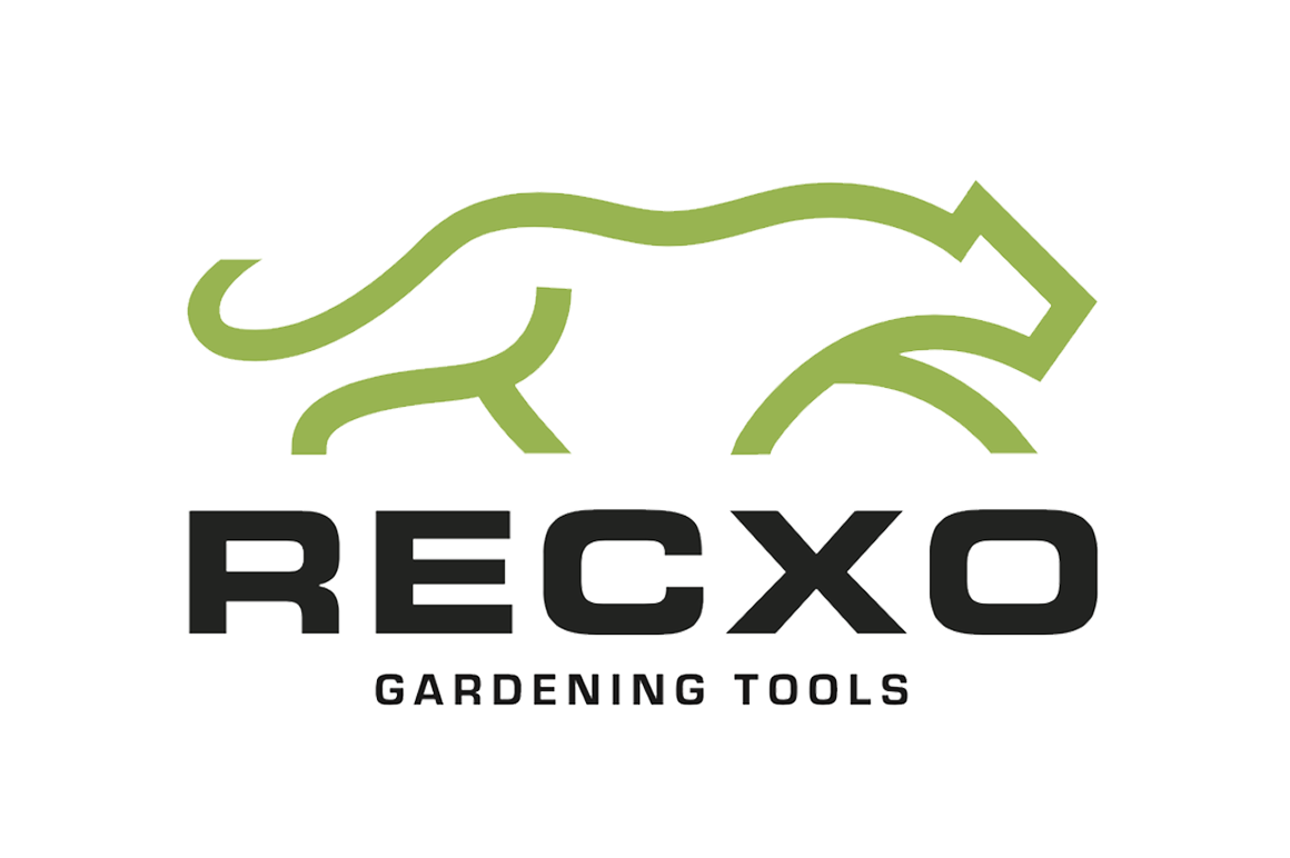 logo-recxo